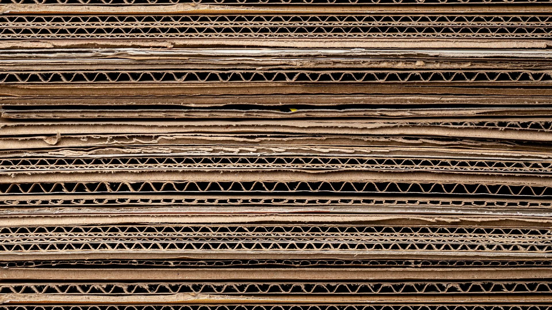 Administración de Negocios  